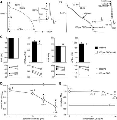 <mark class="highlighted">Carbamazepine</mark> Increases the Risk of Sudden Cardiac Arrest by a Reduction of the Cardiac Sodium Current